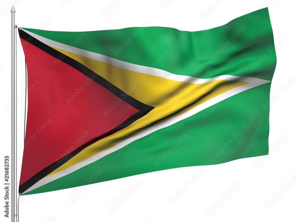 Flying Flag of Guyana - All Countries