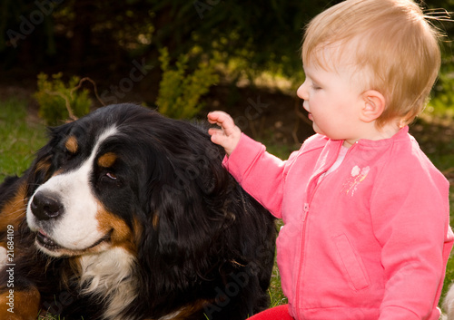 braver Hund photo