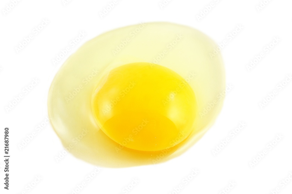 egg