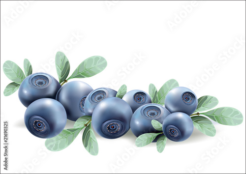 Blueberries with leaves on white background