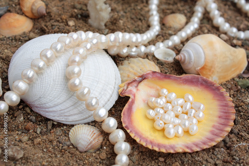 Elegant background with pearls and sea cockleshells