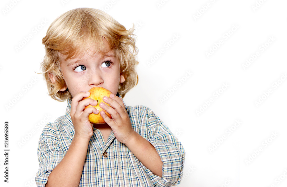 Portrait of the little boy on a light background