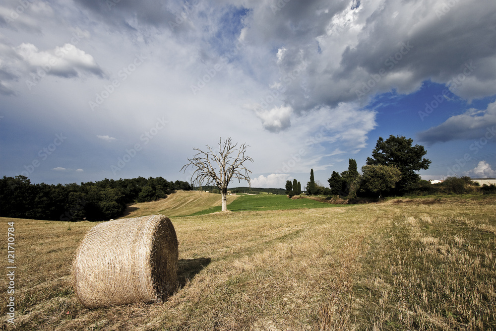 La campagna Toscana