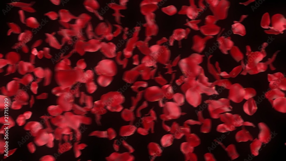 rose petals transition - alpha masked 3d animation rose petals transition - alpha masked 3d animation