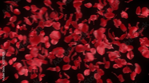 rose petals transition - alpha masked 3d animation