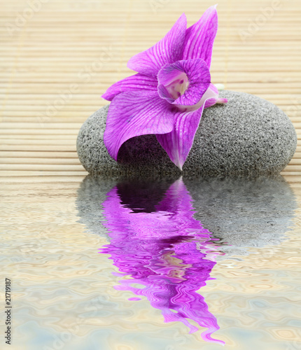 Fototapeta Naklejka Na Ścianę i Meble -  orchidée phaleanopsis mauve sur galet, fond bambou