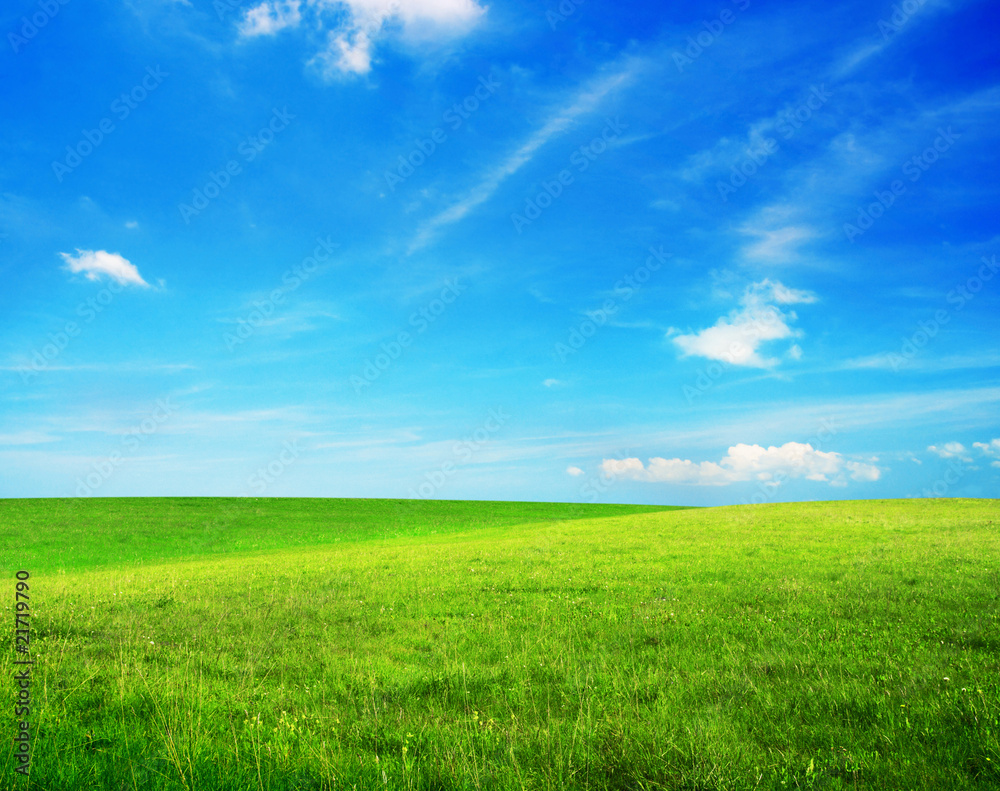 green field and blue sky