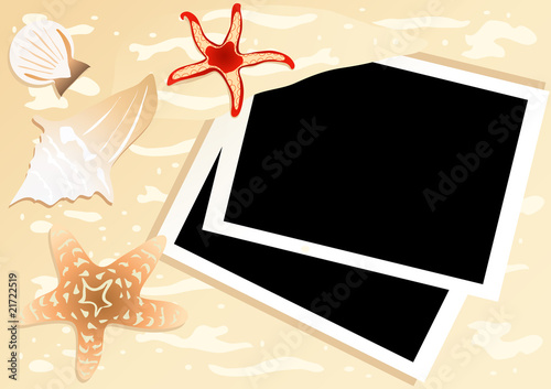 two instant photos with starfishes and seashells near by