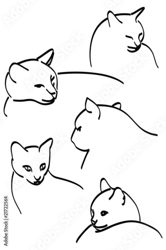 Dessin chat