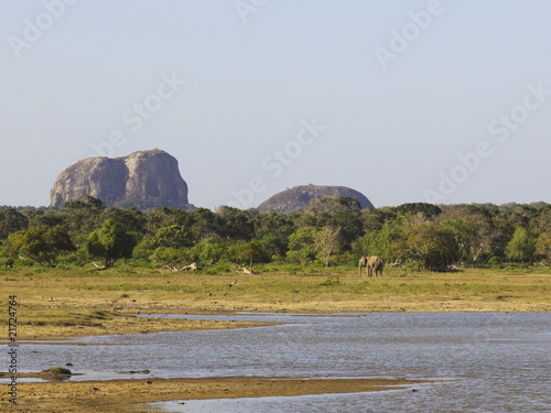 Fotografi yala national park