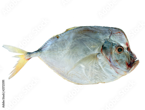 Dried fish on a white background