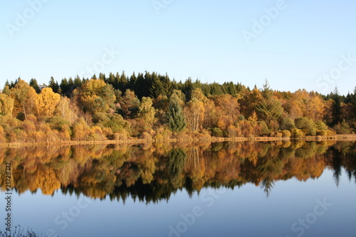 reflet d'arbres dans l'eau en automne