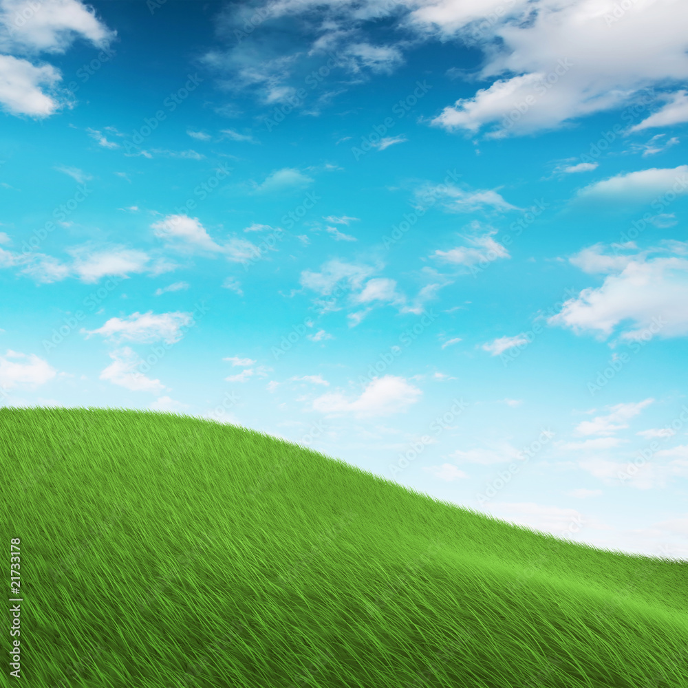 Fototapeta premium Grass on hilly meadow