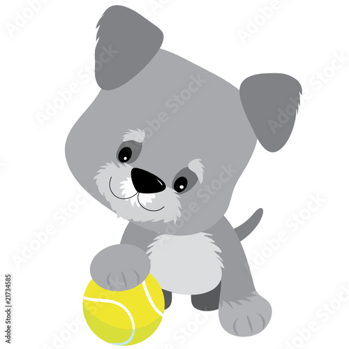 Schnauzer Puppy and Ball