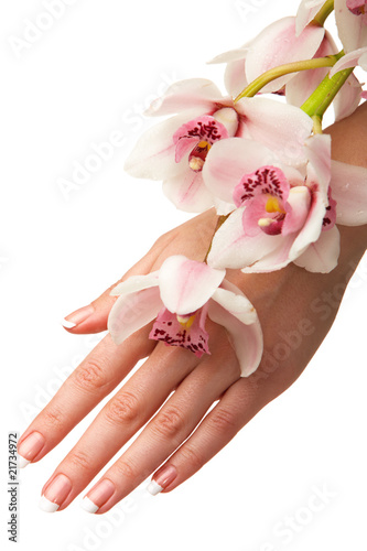 Hand and orchid