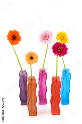 Colorful vases with flowers