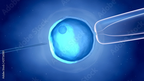 Wallpaper Mural Life has just begun - insemination concept Torontodigital.ca