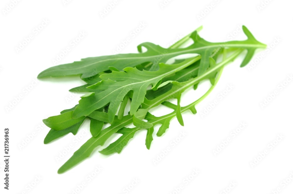 Fototapeta premium Rucola