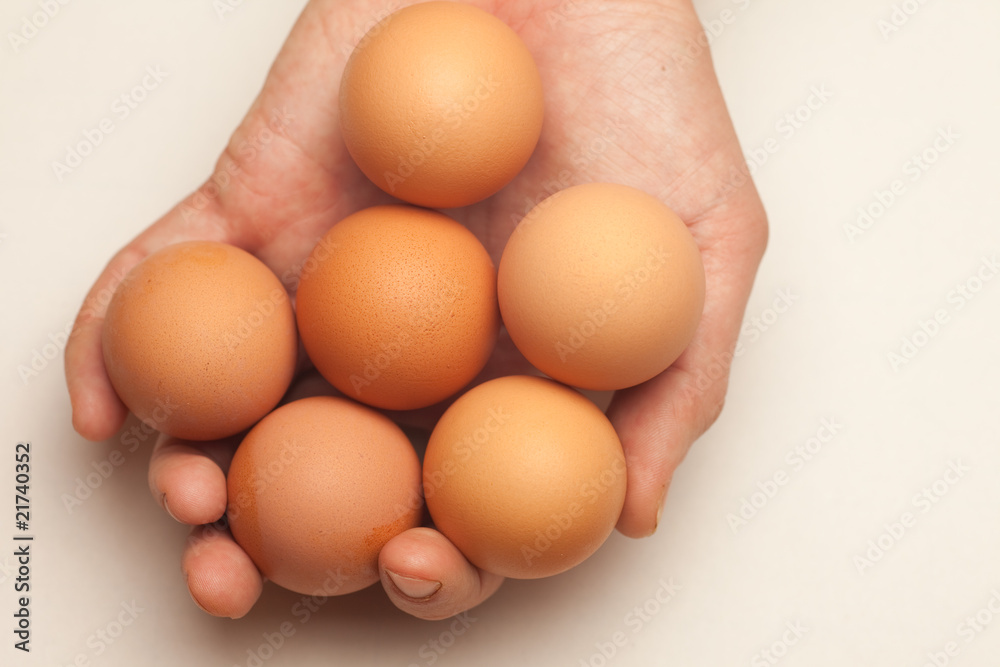 Hand holding six eggs