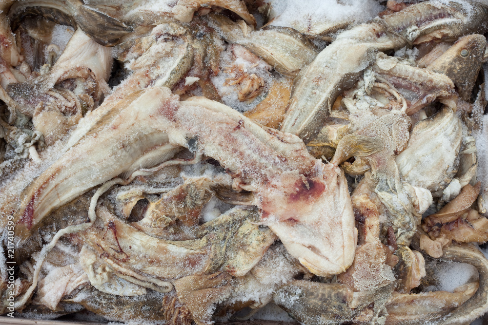 Frozen fish waste