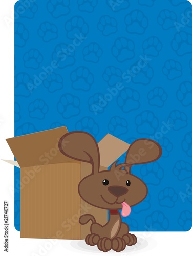 dog and box