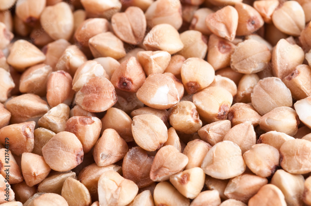 buckwheat buckwheat