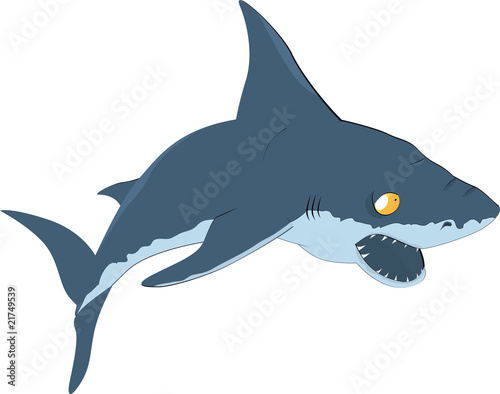 shark