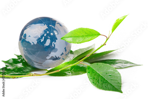 The globe concept eco