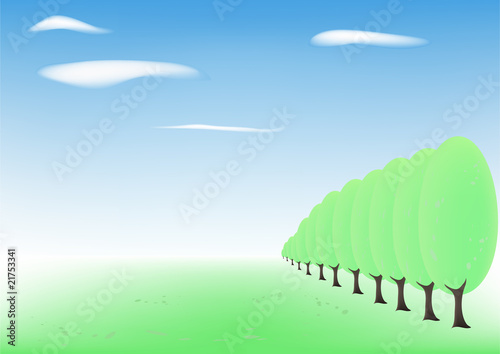 Spring glade