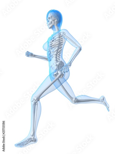 laufendes weibliches Skelett © Sebastian Kaulitzki