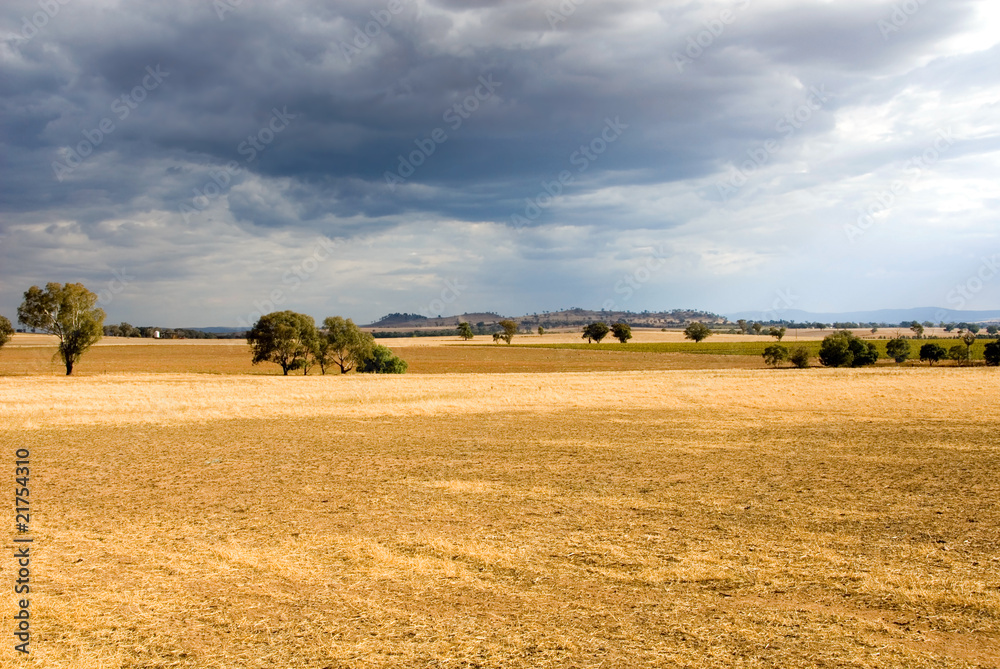 Fototapeta premium Rural Scene