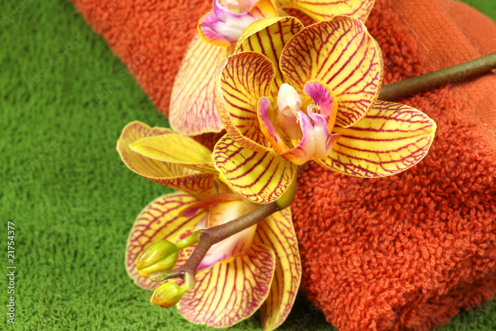 Orchid and towels