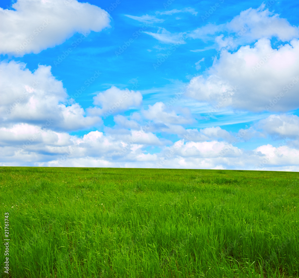 Obraz premium summer landscape