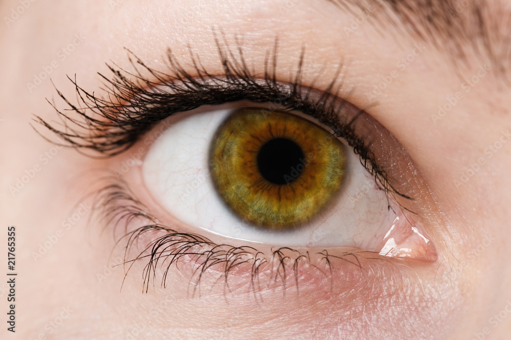 Naklejka premium human eye