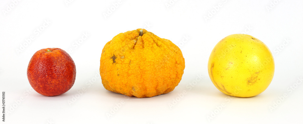 Group of blood orange, ugly fruit and grapefruit Group of blood orange, ugly fruit and grapefruit