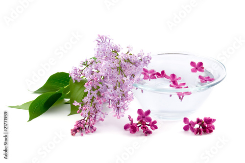 Lilac and a bowl of water