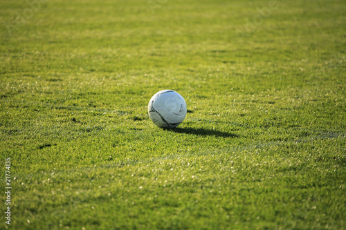 Ballon de football sur pelouse ensoleillée