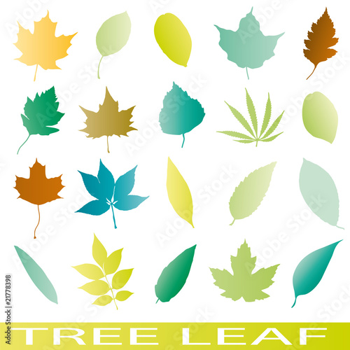 Set of leaf icons vector tree ilustrations photo