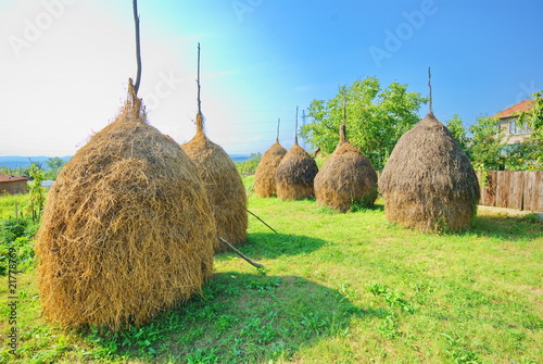 paesaggio rustico photo