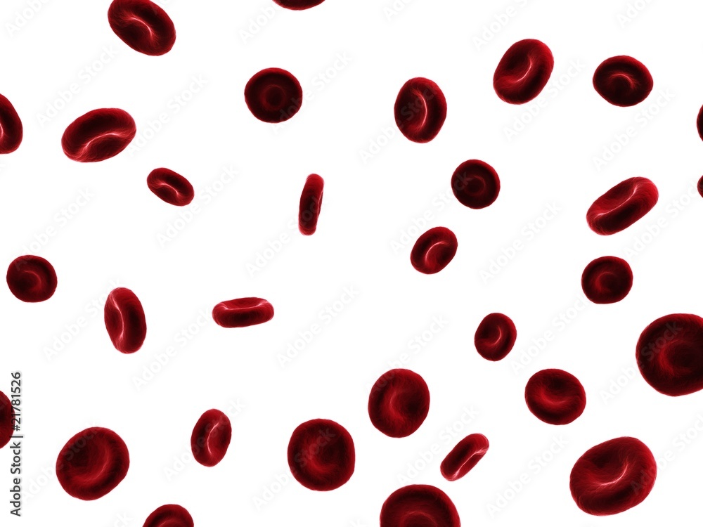 rote Blutkörperchen rote Blutkörperchen