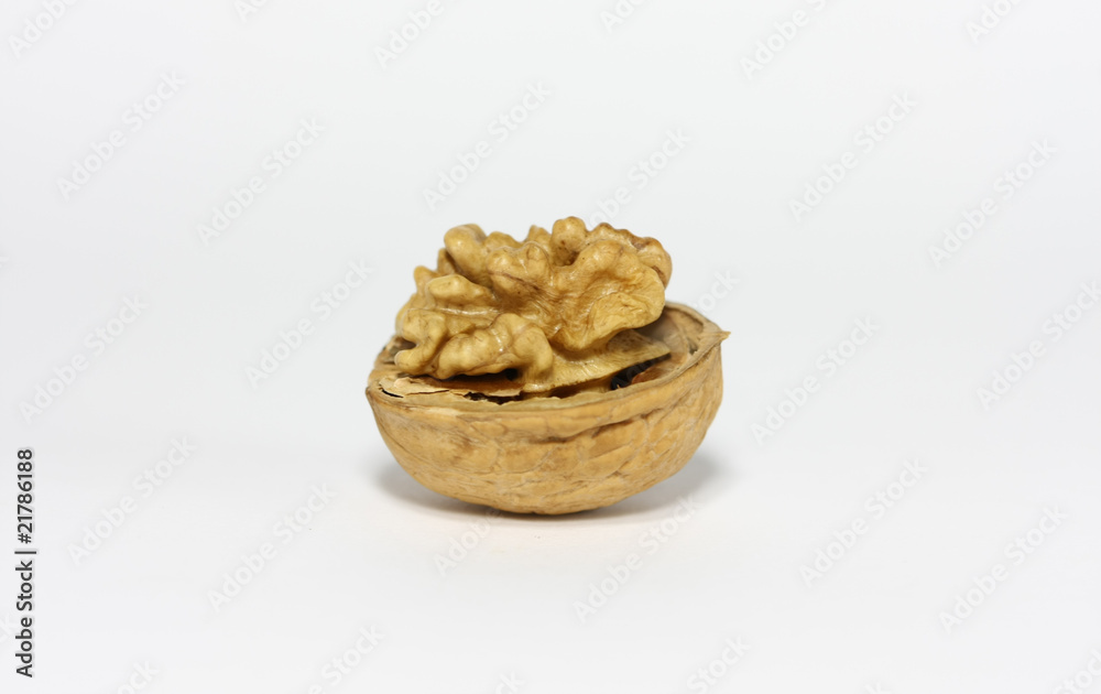 Half Shelled Walnut Half Shelled Walnut