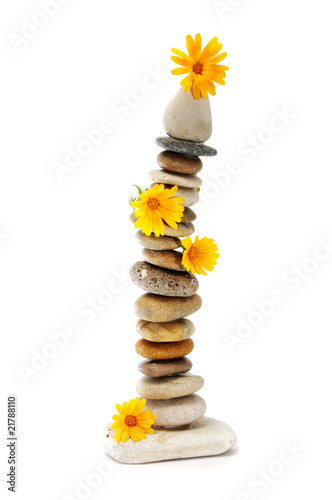 Canvas Print zen stones and flowers