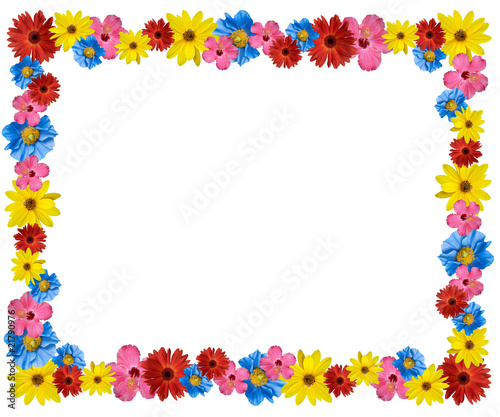 beautiful flower frame