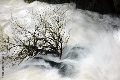 Aguas bravas photo