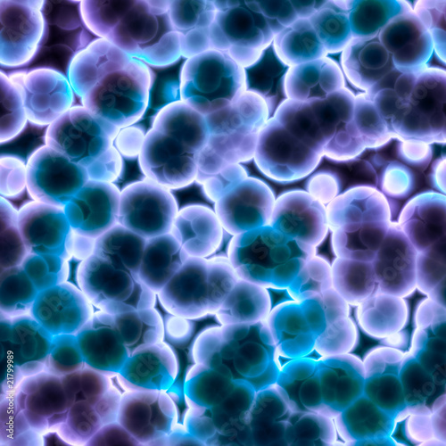 cells