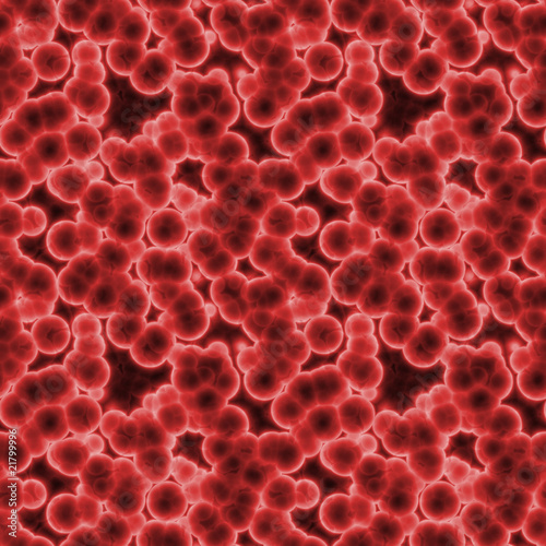 cells