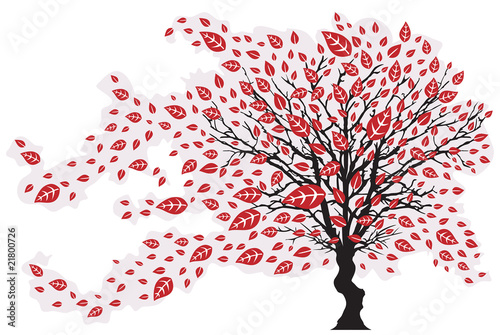 Arbre et Feuilles - Vent et Tempête