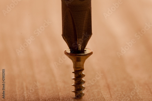 Macro of screw