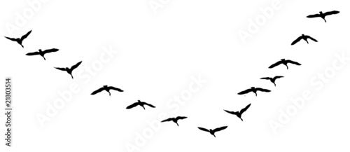 flying geese vector