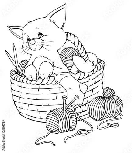 Katze, Kater, Korb, Wolle, stricken, spielen, kuscheln